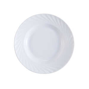 Dinner plate 10.0'