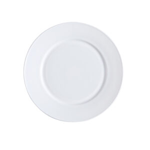 Dinner plate 10.0'